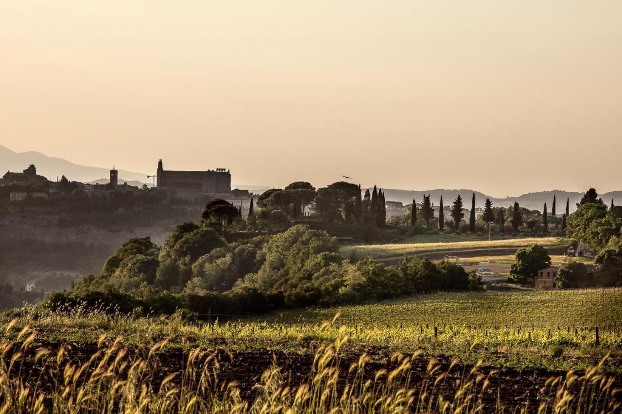 Torre Collevento Luxury Villa Orvieto Kültér fotó